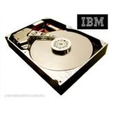 HD - SCSI 36 GB IBM